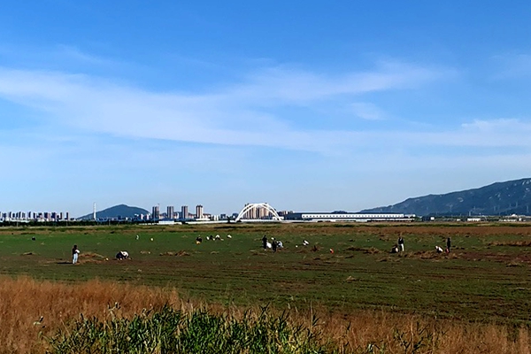 1718790013809 20240606100451125112