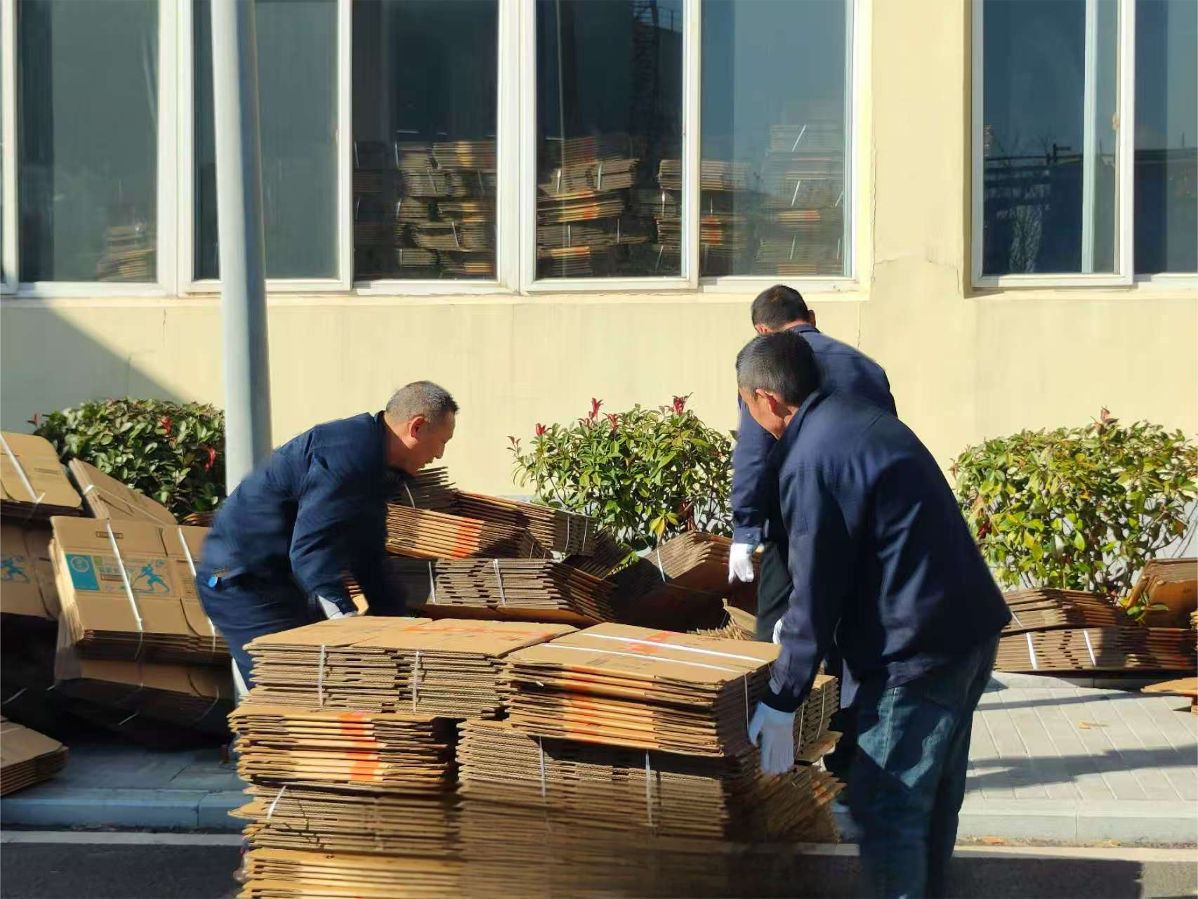 1734490317138 圖片1